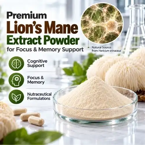 How to Choose the Best Lion's Mane Extract Powder for Focus and Memory